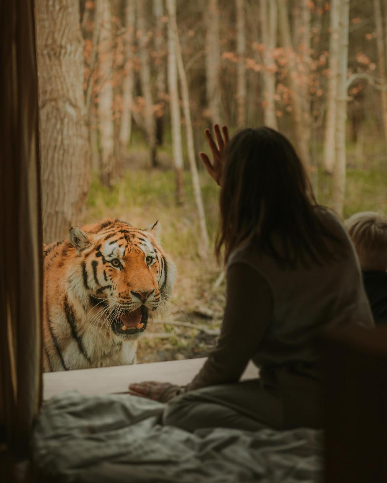 Knuthenborg Safaripark Hotell Maribo Exteriör bild