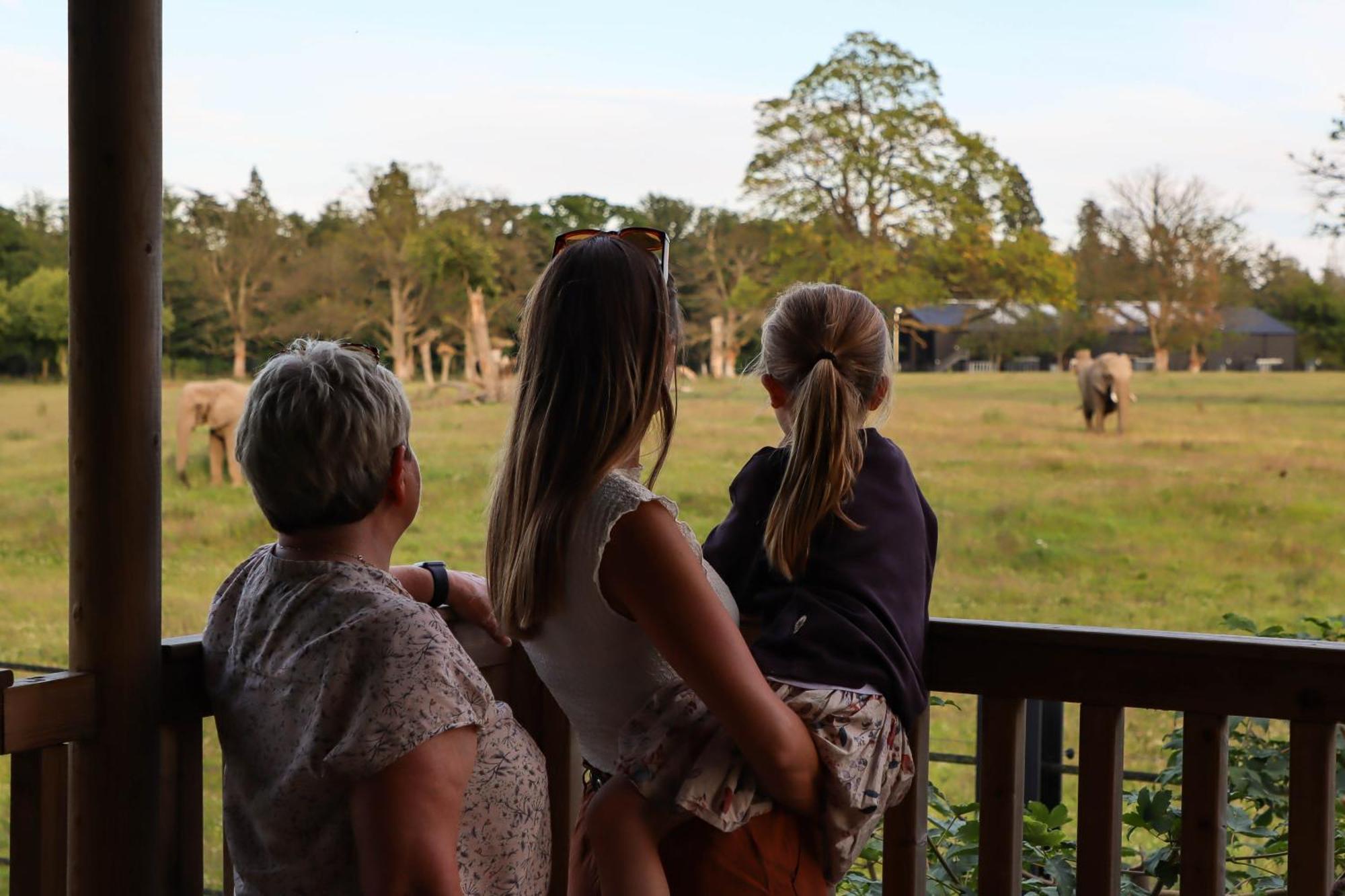 Knuthenborg Safaripark Hotell Maribo Exteriör bild