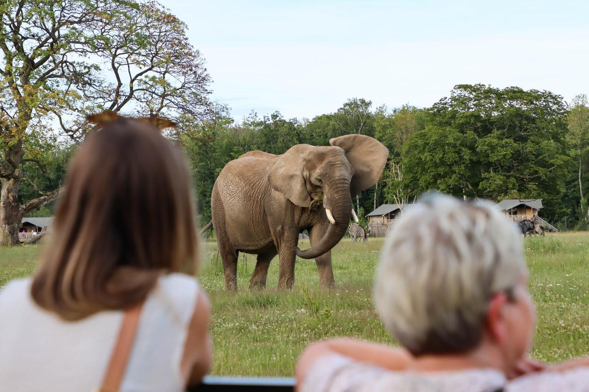 Knuthenborg Safaripark Hotell Maribo Exteriör bild