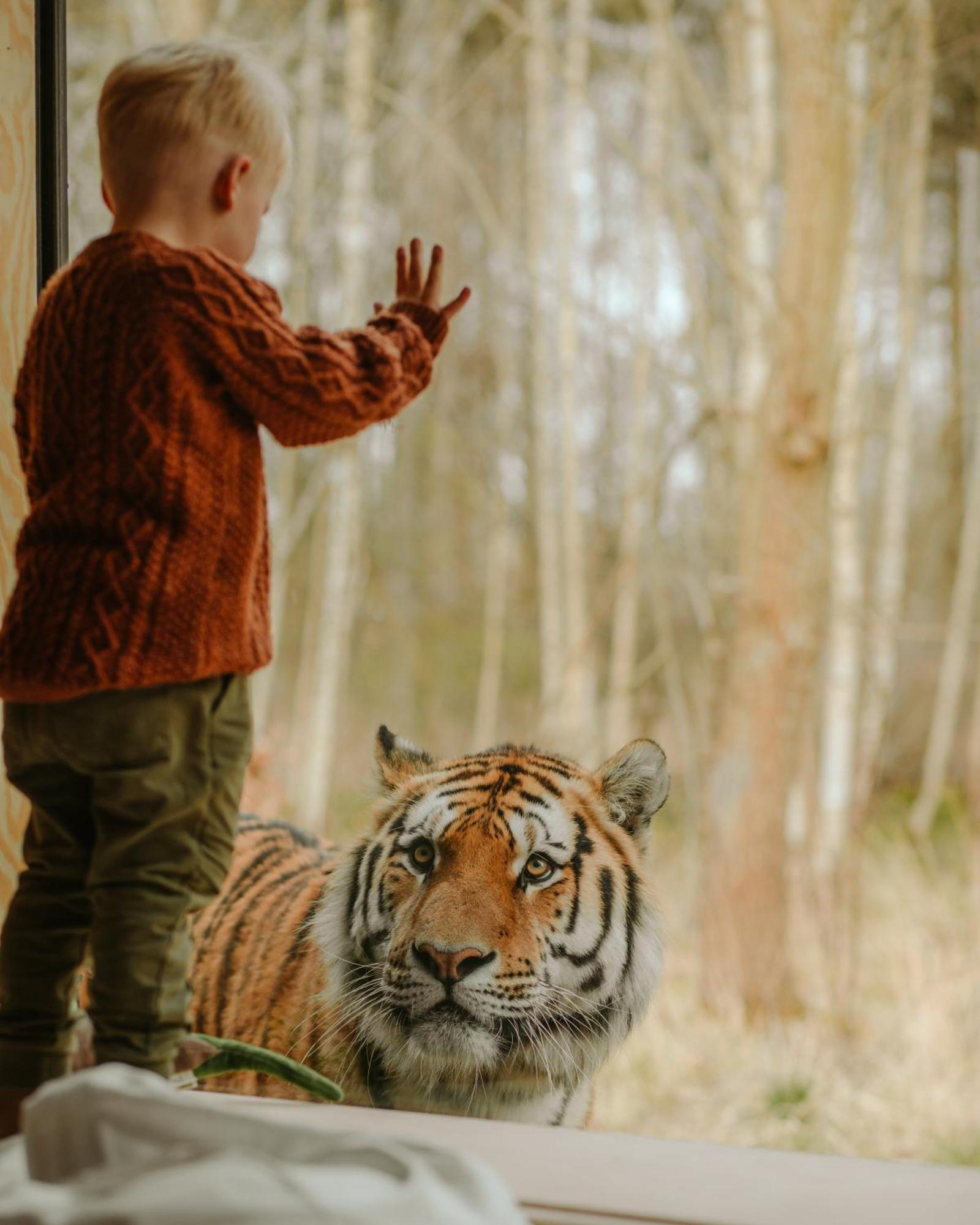 Knuthenborg Safaripark Hotell Maribo Exteriör bild