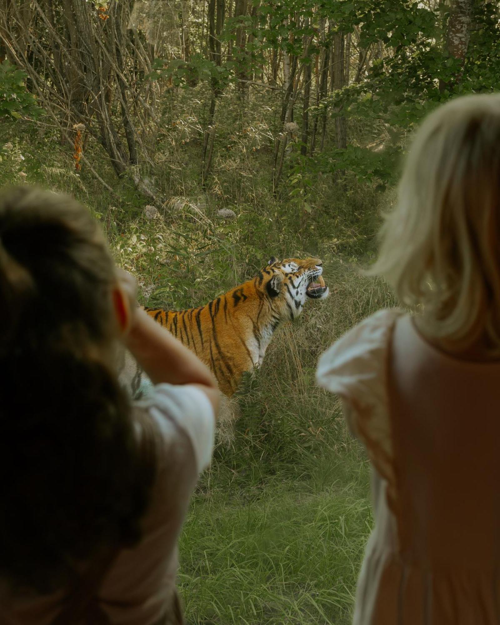 Knuthenborg Safaripark Hotell Maribo Exteriör bild