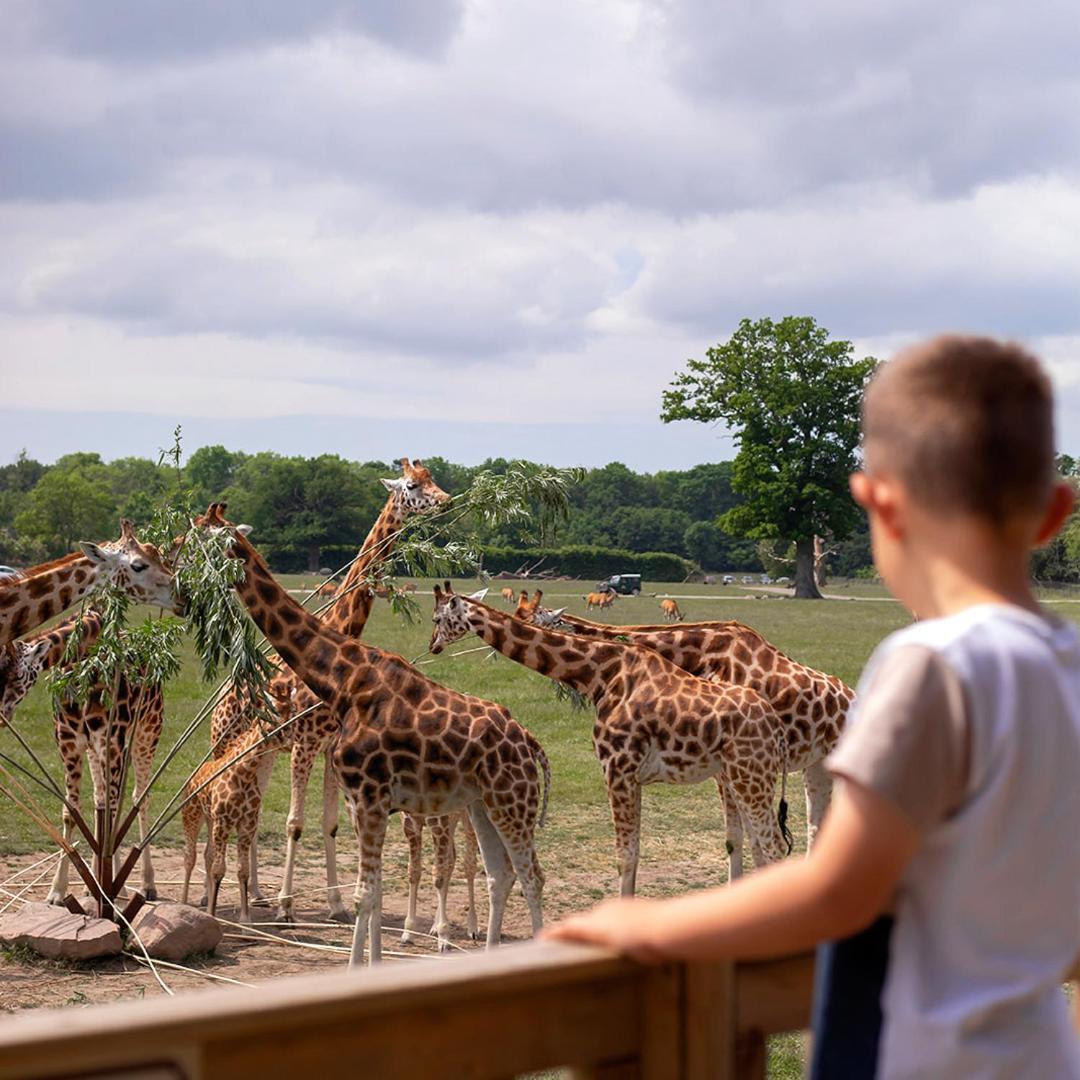 Knuthenborg Safaripark Hotell Maribo Exteriör bild
