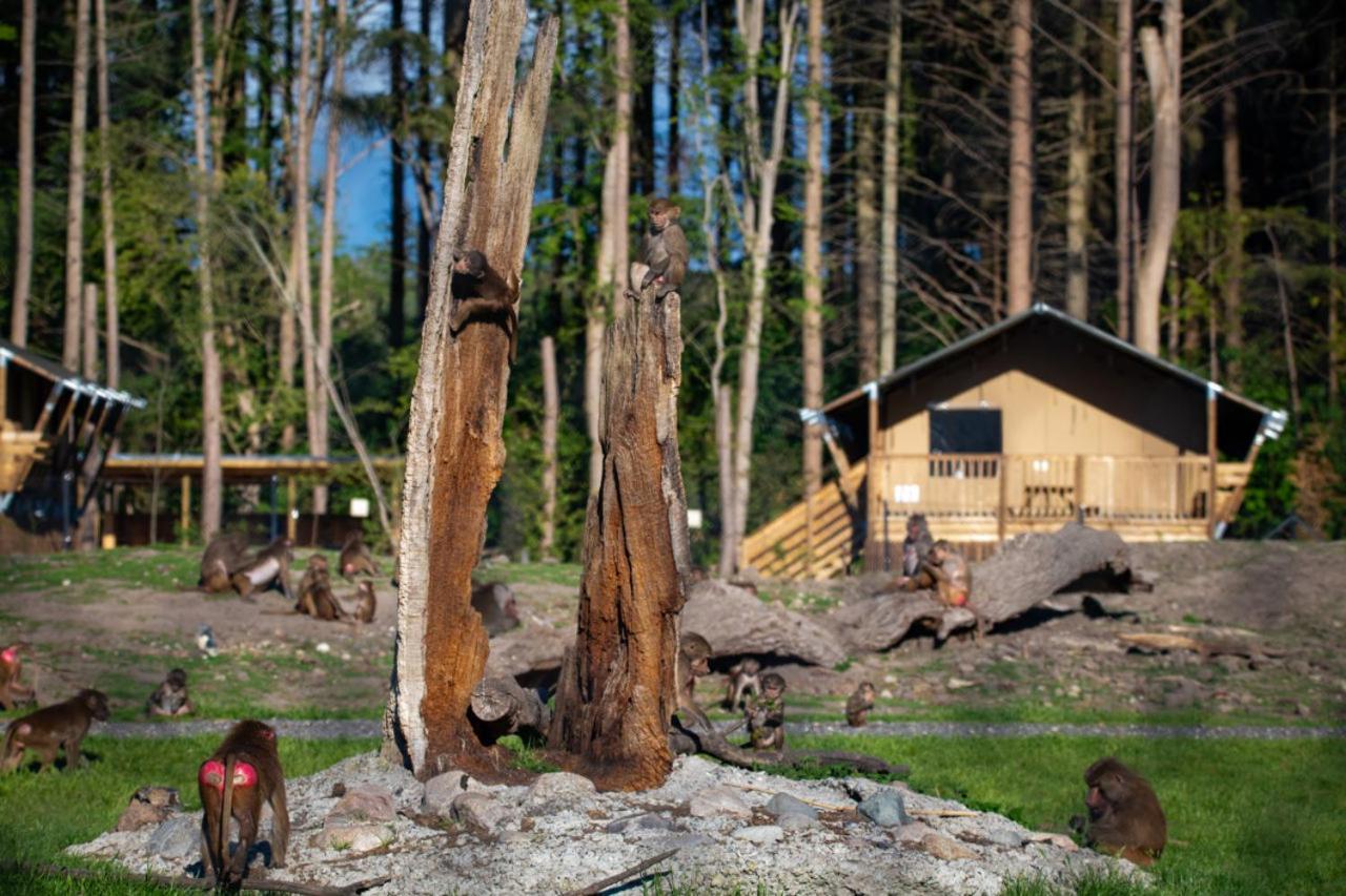 Knuthenborg Safaripark Hotell Maribo Exteriör bild