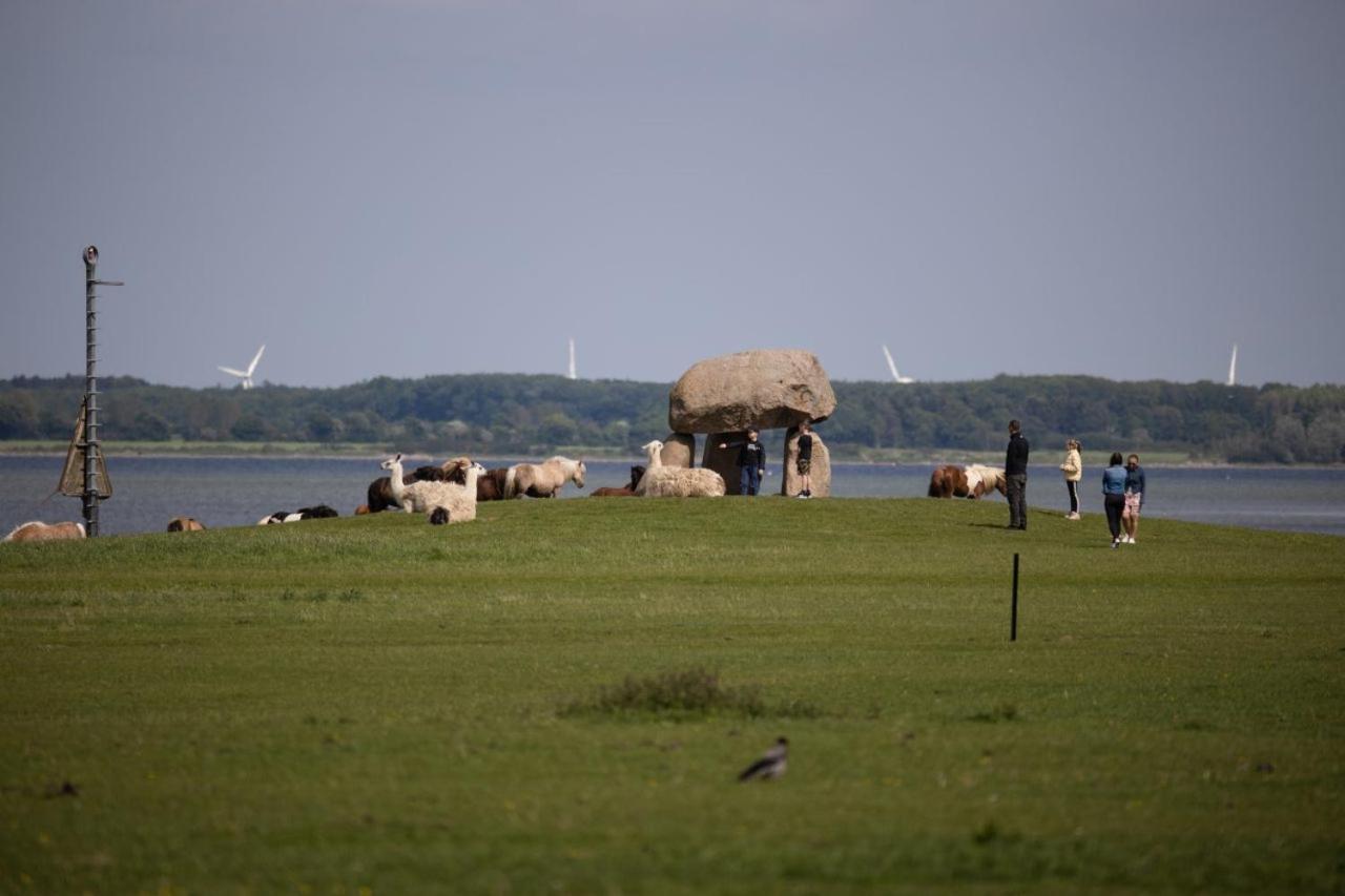 Knuthenborg Safaripark Hotell Maribo Exteriör bild