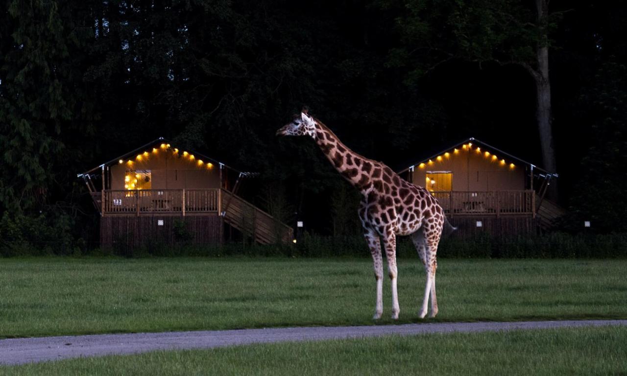 Knuthenborg Safaripark Hotell Maribo Exteriör bild