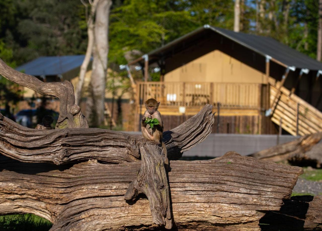 Knuthenborg Safaripark Hotell Maribo Exteriör bild