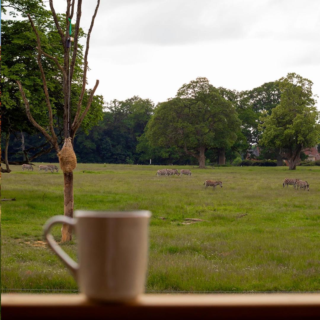 Knuthenborg Safaripark Hotell Maribo Exteriör bild